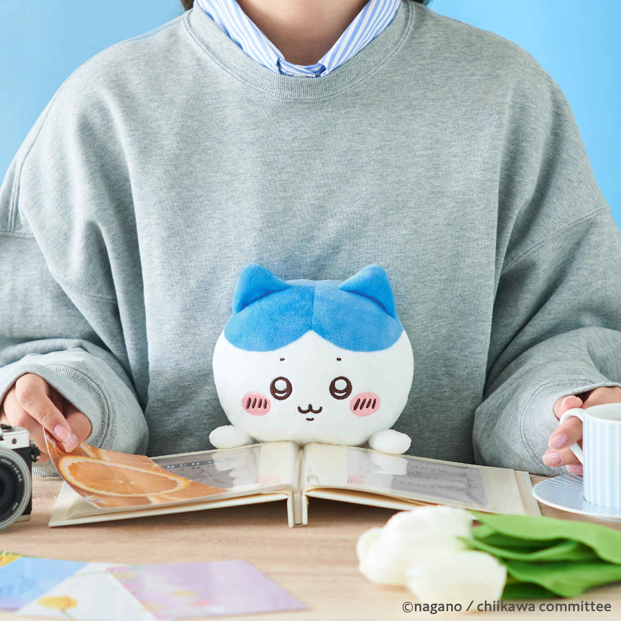 Posture Pal Chiikawa - Hachiware